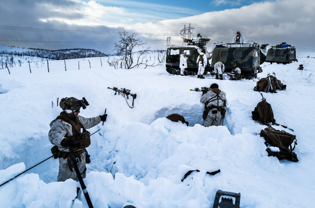 Arctic1_1.jpg