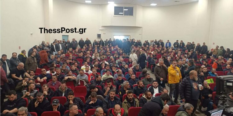 syneleysi.jpg
